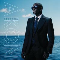Akon - Troublemaker