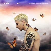 Il Tre - Farfalla