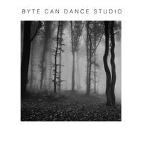 Bcd Studio - Cg - SOS