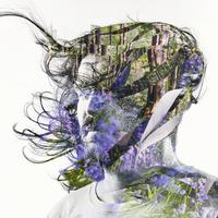 Bibio - Curls